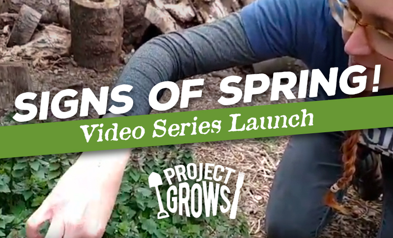 “Signs of Spring” Video Series Launch