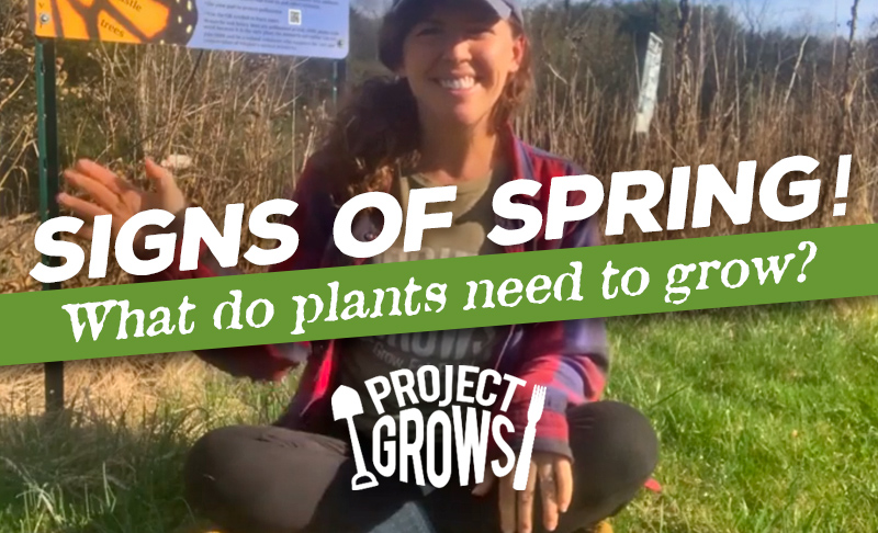 Signs of Spring Episode 2: What Do Plants Need to Grow?