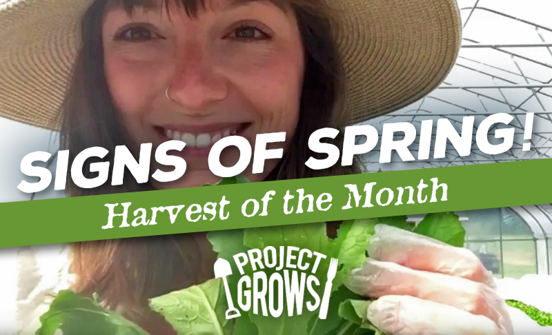 Signs of Spring, Episode 4: Harvest of the Month